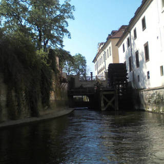 Medium img146